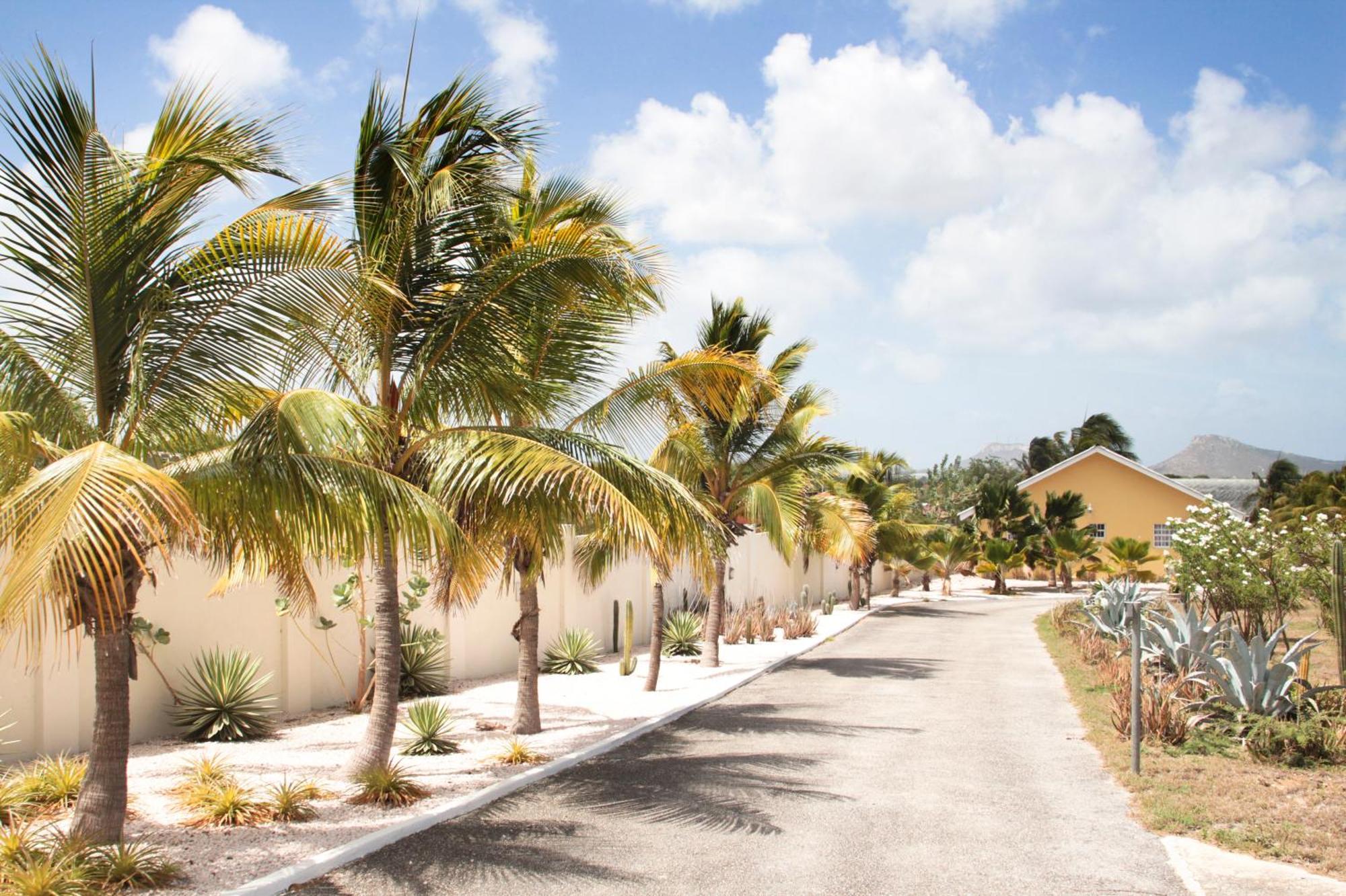 Abc Lodges Curacao ウィレムスタッド エクステリア 写真